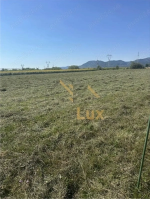 Teren extravilan, Oportunitate de investitii: hala, depozit, agrement - imagine 5