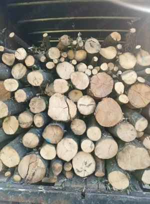 Vând lemne de foc esenta tare 