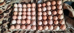 vând  ouă  de la găini țărănești  - imagine 2