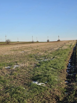 Teren extravilan intravilan  - imagine 4