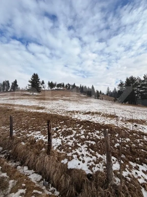 Teren extravilan 8290 mp, Front 50ml - Sadova - Panorama Bucovinei