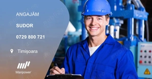 Manpower recruteaza SUDOR in Timisoara (1 singur schimb)