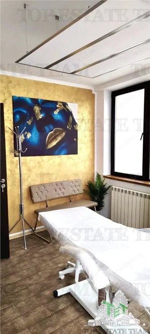 Vila de închiriat cu 6 camere ultracentral Piata Victoriei