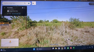 Plantație de vita de vie 