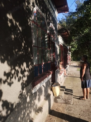 Vand casa batraneasca 3700 m2 Bragadiru Teleormani - imagine 4