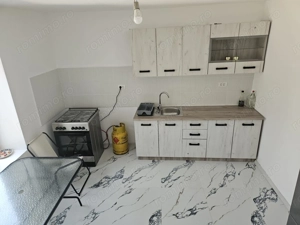 Casa Beregsaul mic+teren 1550 mp - imagine 5