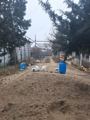 Vand gospodarie formată din 2 case in Peris langa Balotesti  - imagine 5