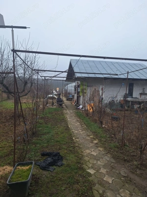 Vand gospodarie formată din 2 case in Peris langa Balotesti  - imagine 4