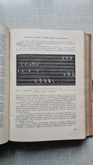Fiziologie K. M. Bikov 1957 - imagine 3