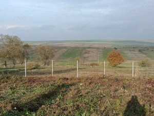 Vând teren Unțeni - imagine 2