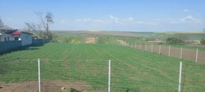 Vând teren Unțeni - imagine 4