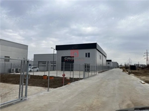 Inchiriere depozit hala spatiu industrial Chiajna - Centura - A1 - imagine 6