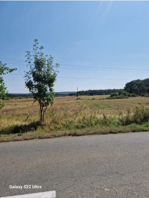 Teren în Târgu-Carbunești - 12500 mp - imagine 3