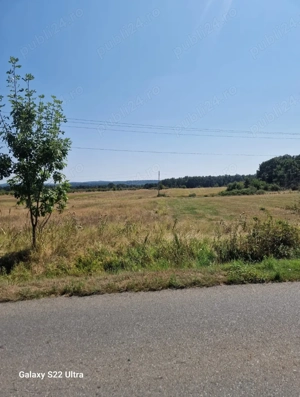 Teren în Târgu-Carbunești - 12500 mp - imagine 5