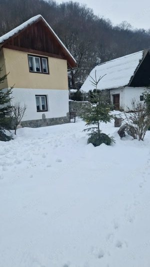 Vand teren pentru cabana  - imagine 6