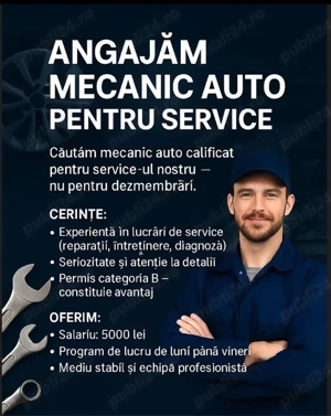   Auto LCD Grup - Ne Mărim Echipa   - imagine 2