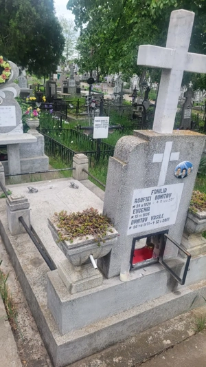 Loc de veci în cimitirul Sfânta treime județul Iași  - imagine 2