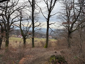 Teren Sisesti la soseaua principala ,langă pensiunea Madlene ,1 ha - imagine 4