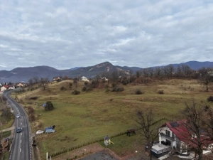 Teren Sisesti la soseaua principala ,langă pensiunea Madlene ,1 ha - imagine 2