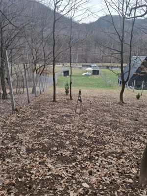 Teren intravilan 14.5 ari - imagine 6