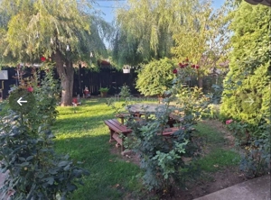 Casa, cocheta, situata pe o strada linistita, la 10 km de Ploiesti - imagine 2