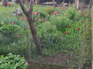 Casa, cocheta, situata pe o strada linistita, la 10 km de Ploiesti - imagine 10