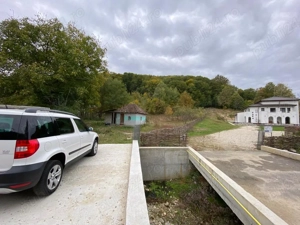 Teren intravilan Bascov - imagine 5