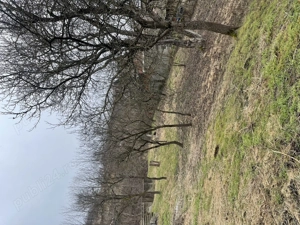 Vând teren intravilan 1128 - imagine 4