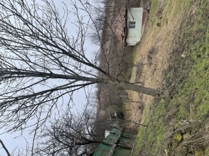 Vând teren intravilan 1128 - imagine 3