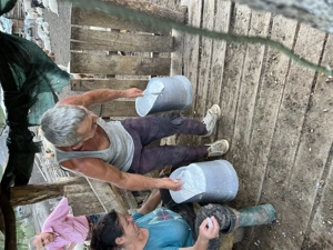 Capre de vanzare - imagine 3