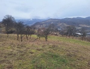 Vând teren intravilan,42.75ari,4275m2,Pret:1475Euro Arie - imagine 8