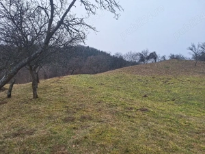 Vând teren intravilan,42.75ari,4275m2,Pret:1475Euro Arie - imagine 10