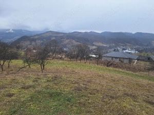 Vând teren intravilan,42.75ari,4275m2,Pret:1475Euro Arie - imagine 9