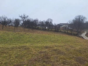 Vând teren intravilan,42.75ari,4275m2,Pret:1475Euro Arie - imagine 3