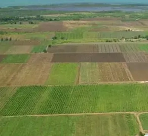 Teren agricol 22000 mp , Râmnicu Vâlcea , comuna Făurești