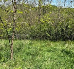 Vand teren extravilan 3074 mp , Sarata Monteoru 