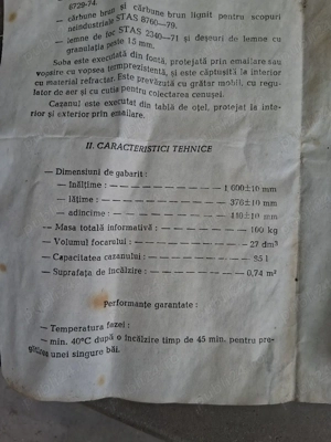 Vand Boiler +focar pe lemne