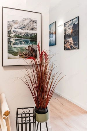 Apartament cu o camera în Piata Unirii cu boxa amenajata - imagine 19