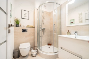 Apartament cu o camera în Piata Unirii cu boxa amenajata - imagine 15