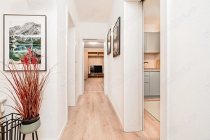 Apartament cu o camera în Piata Unirii cu boxa amenajata - imagine 18