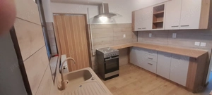 Casa P+M de inchiriat Clinceni Put Olteni - imagine 4