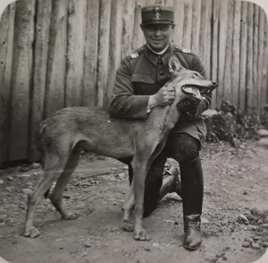2 fotografii   cărți poștale WWI, România - imagine 2