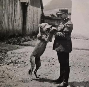 2 fotografii   cărți poștale WWI, România