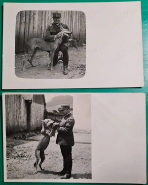 2 fotografii   cărți poștale WWI, România - imagine 3