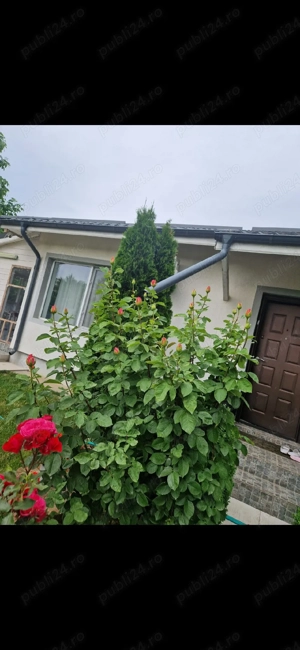 Casa de vanzare - imagine 3