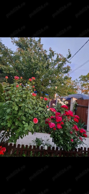 Casa de vanzare - imagine 5