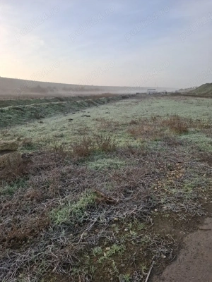 De vânzare  - imagine 3