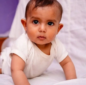 Caut câine de talie mică pentru copii!