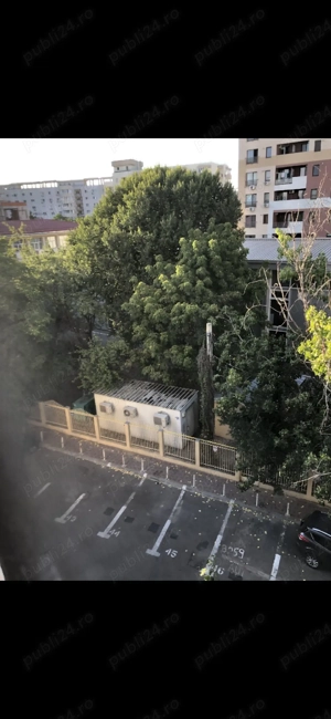 Propietar  - imagine 2