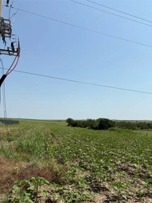 Teren extravilan - imagine 3